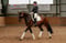 Horse ad