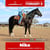 Horse ad