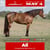 Horse ad