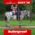 Annuncio cavallo