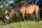 Annuncio cavallo