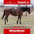 Horse ad