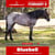 Horse ad