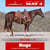 Anuncio de caballos