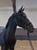 Horse ad