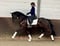 Horse ad