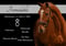 Anuncio de caballos