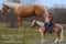 Horse ad