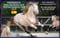 Horse ad