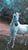 Horse ad