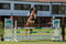 Annuncio cavallo
