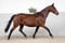 Annuncio cavallo