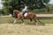 Horse ad