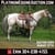 Horse ad