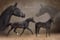 Horse ad