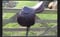 Annonce cheval