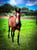 Horse ad