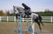 Horse ad