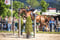 Horse ad