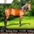 Annuncio cavallo