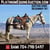 Horse ad