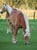 Annuncio cavallo