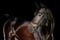 Horse ad