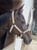 Horse ad