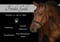 Annonce cheval