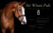 Annuncio cavallo