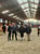 Annuncio cavallo