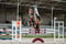 Annuncio cavallo