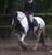 Annonce cheval