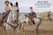 Horse ad