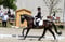 Horse ad