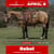 Annuncio cavallo