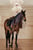 Horse ad