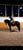 Horse ad