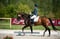 Horse ad