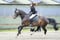 Horse ad