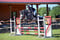 Horse ad