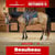 Paardadvertentie