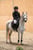 Annuncio cavallo