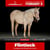 Pferdeinserat