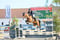 Annuncio cavallo