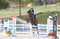 Annuncio cavallo