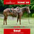 Annuncio cavallo