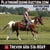 Horse ad