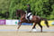 Annuncio cavallo