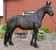 Annuncio cavallo